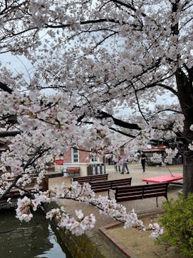 東映太秦映画村に投稿された画像（2021/3/28）