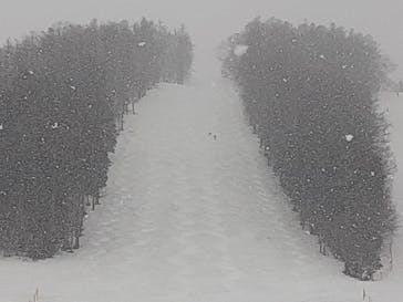 戸隠スキー場に投稿された画像（2021/3/28）