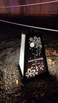 二条城×ネイキッド 二条城夏まつり2021に投稿された画像（2021/3/28）