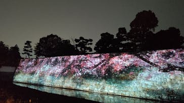 二条城×ネイキッド 二条城夏まつり2021に投稿された画像（2021/3/28）