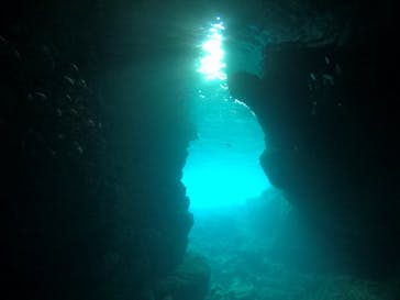 武藤潜水に投稿された画像（2021/3/29）