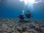 武藤潜水に投稿された画像（2021/3/29）