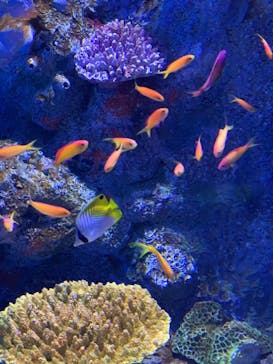 登別マリンパークニクスに投稿された画像（2021/3/29）