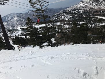 横手山・渋峠スキー場に投稿された画像（2021/3/29）