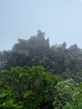 アスムイハイクスに投稿された画像（2021/3/29）