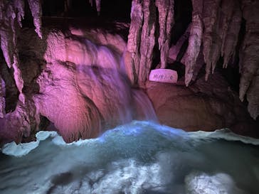 おきなわワールドに投稿された画像（2021/3/29）