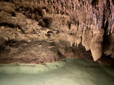 おきなわワールドに投稿された画像（2021/3/29）