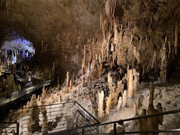 おきなわワールドに投稿された画像（2021/3/29）