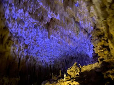 おきなわワールドに投稿された画像（2021/3/29）