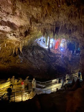 おきなわワールドに投稿された画像（2021/3/29）