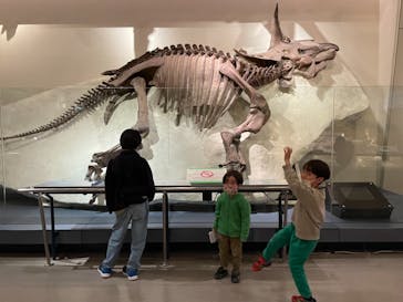 国立科学博物館に投稿された画像（2021/3/29）