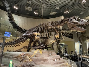 国立科学博物館に投稿された画像（2021/3/29）