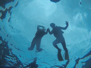 武藤潜水に投稿された画像（2021/3/29）