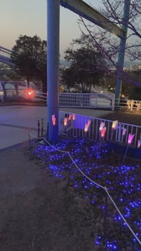 ひらかたパークに投稿された画像（2021/3/29）