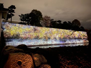 二条城×ネイキッド 二条城夏まつり2021に投稿された画像（2021/3/29）