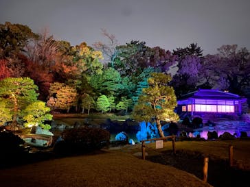 二条城×ネイキッド 二条城夏まつり2021に投稿された画像（2021/3/29）