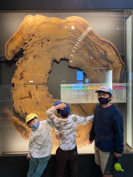 国立科学博物館に投稿された画像（2021/3/29）