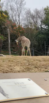 天王寺動物園に投稿された画像（2021/3/29）