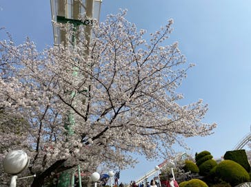 ひらかたパークに投稿された画像（2021/3/29）