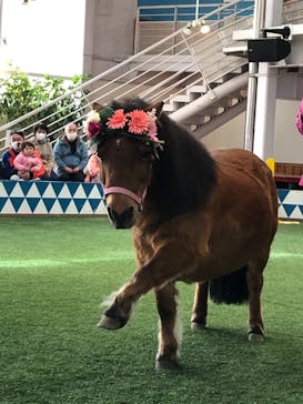 ノーザンホースパークに投稿された画像（2021/3/29）