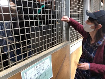 ノーザンホースパークに投稿された画像（2021/3/29）