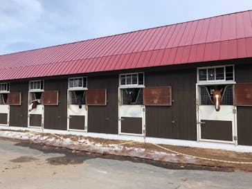 ノーザンホースパークに投稿された画像（2021/3/29）