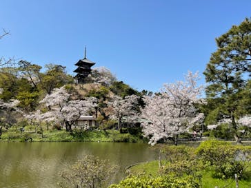 三溪園に投稿された画像（2021/3/29）