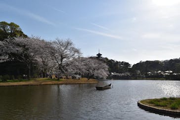 三溪園に投稿された画像（2021/3/29）