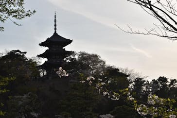 三溪園に投稿された画像（2021/3/29）