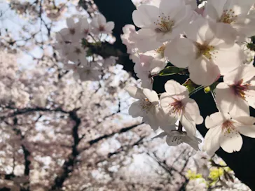 天王寺動物園に投稿された画像（2021/3/29）