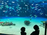 サンシャイン水族館に投稿された画像（2021/3/29）