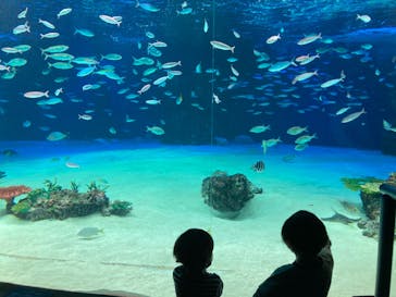 サンシャイン水族館に投稿された画像（2021/3/29）
