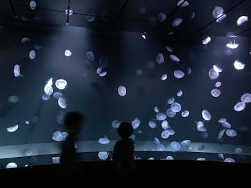 サンシャイン水族館に投稿された画像（2021/3/29）