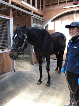 ノーザンホースパークに投稿された画像（2021/3/29）