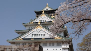 大阪城天守閣に投稿された画像（2021/3/29）