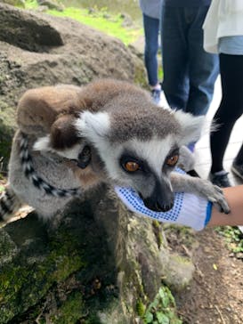 伊豆シャボテン動物公園に投稿された画像（2021/3/29）