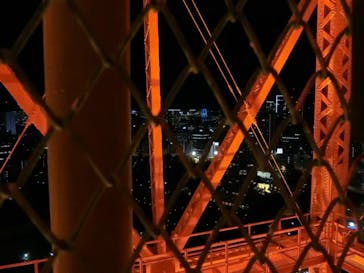 東京タワーに投稿された画像（2021/3/29）