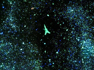 東京タワーに投稿された画像（2021/3/29）