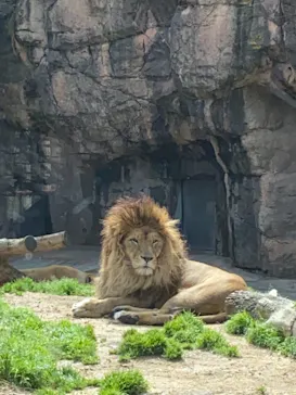天王寺動物園に投稿された画像（2021/3/29）