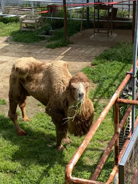 天王寺動物園に投稿された画像（2021/3/29）