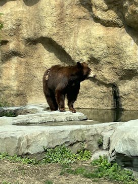 神戸どうぶつ王国に投稿された画像（2021/3/29）