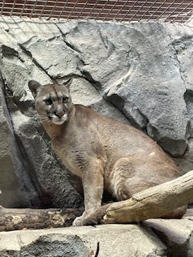 神戸どうぶつ王国に投稿された画像（2021/3/29）