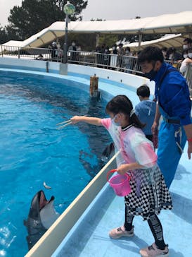 マリンワールド海の中道に投稿された画像（2021/3/29）