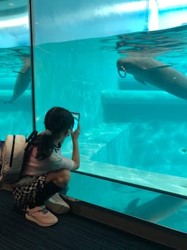マリンワールド海の中道に投稿された画像（2021/3/29）