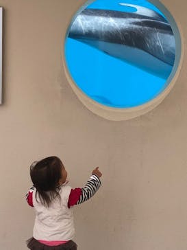 マリンワールド海の中道に投稿された画像（2021/3/29）