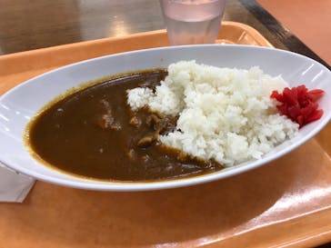 国立科学博物館に投稿された画像（2021/3/29）