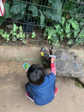 神戸どうぶつ王国に投稿された画像（2021/3/29）