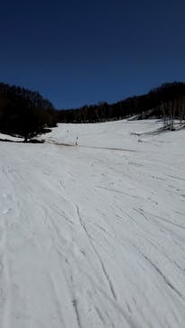 水上高原 藤原スキー場に投稿された画像（2021/3/29）