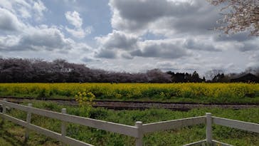 成田ゆめ牧場に投稿された画像（2021/3/29）
