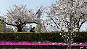 天王寺動物園に投稿された画像（2021/3/29）